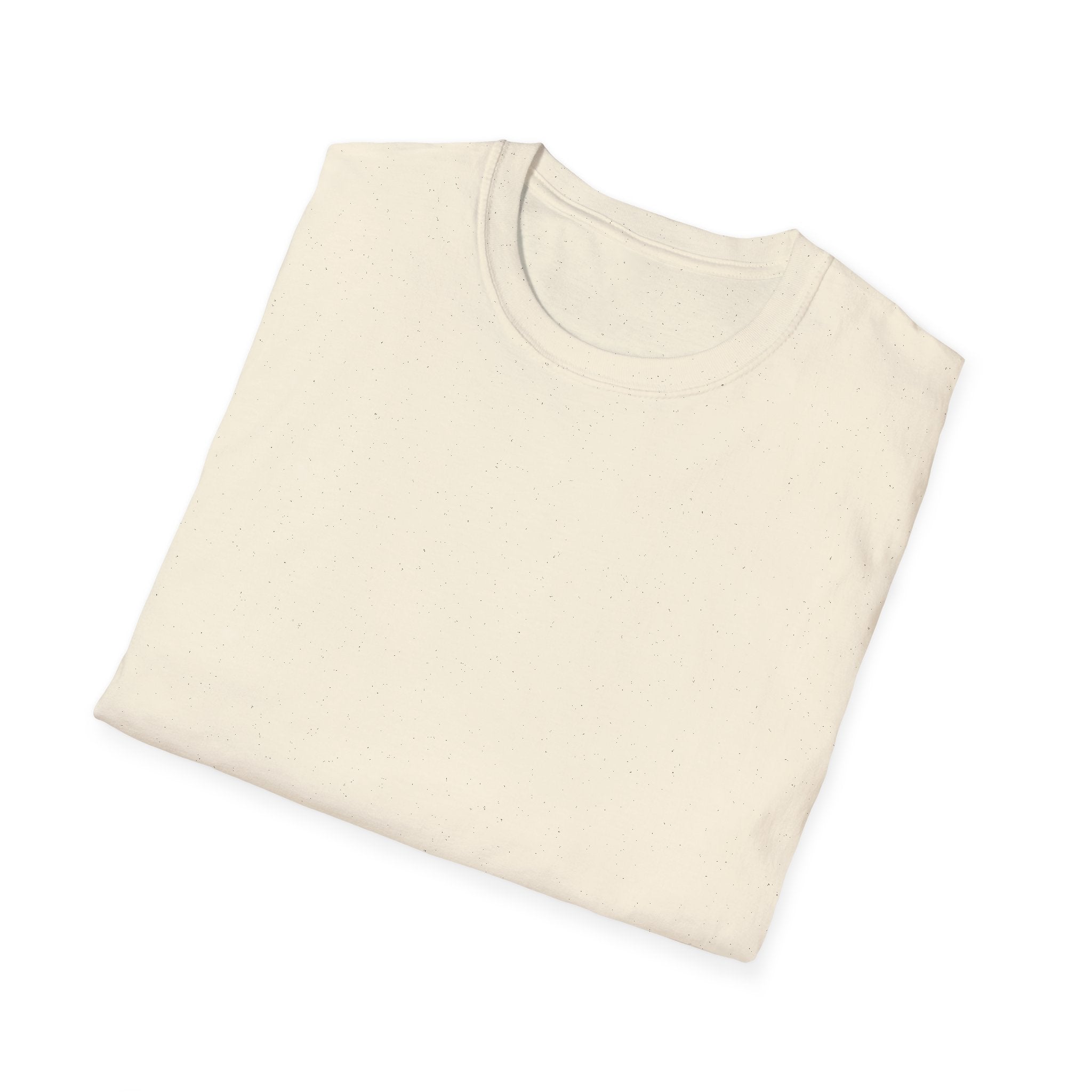 Living the Prayers I Used to Pray Tee